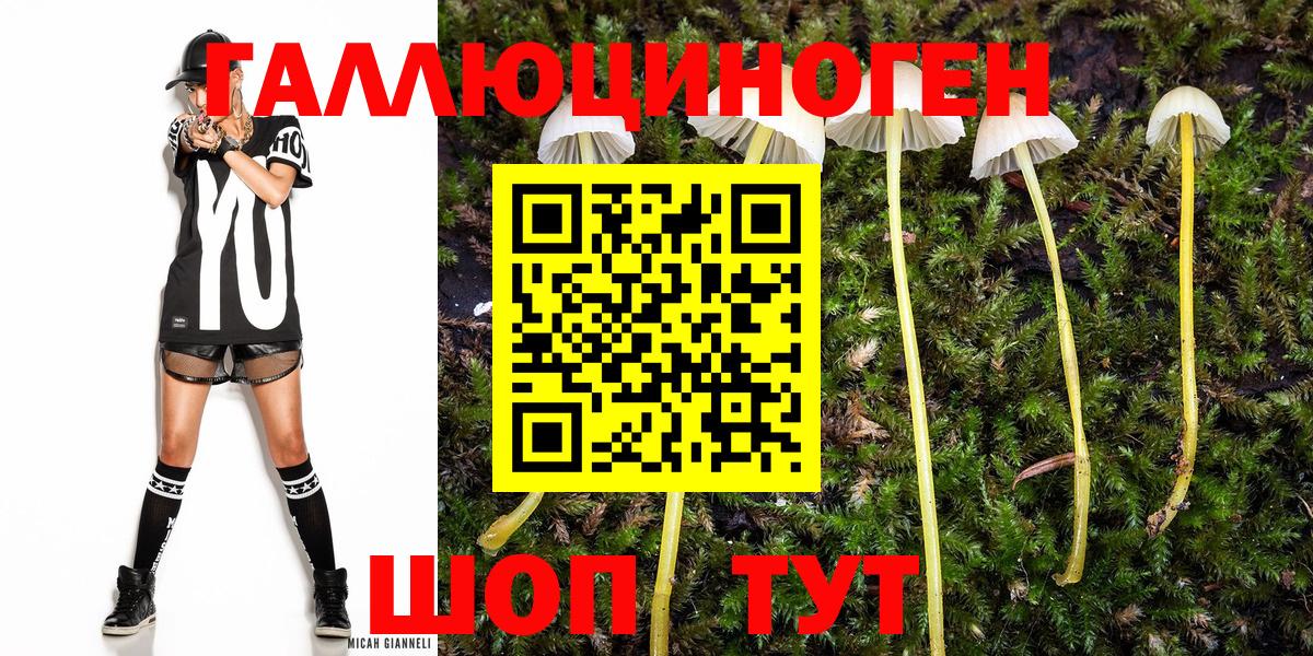 Псилоцибиновые грибы мухоморы Ижевск